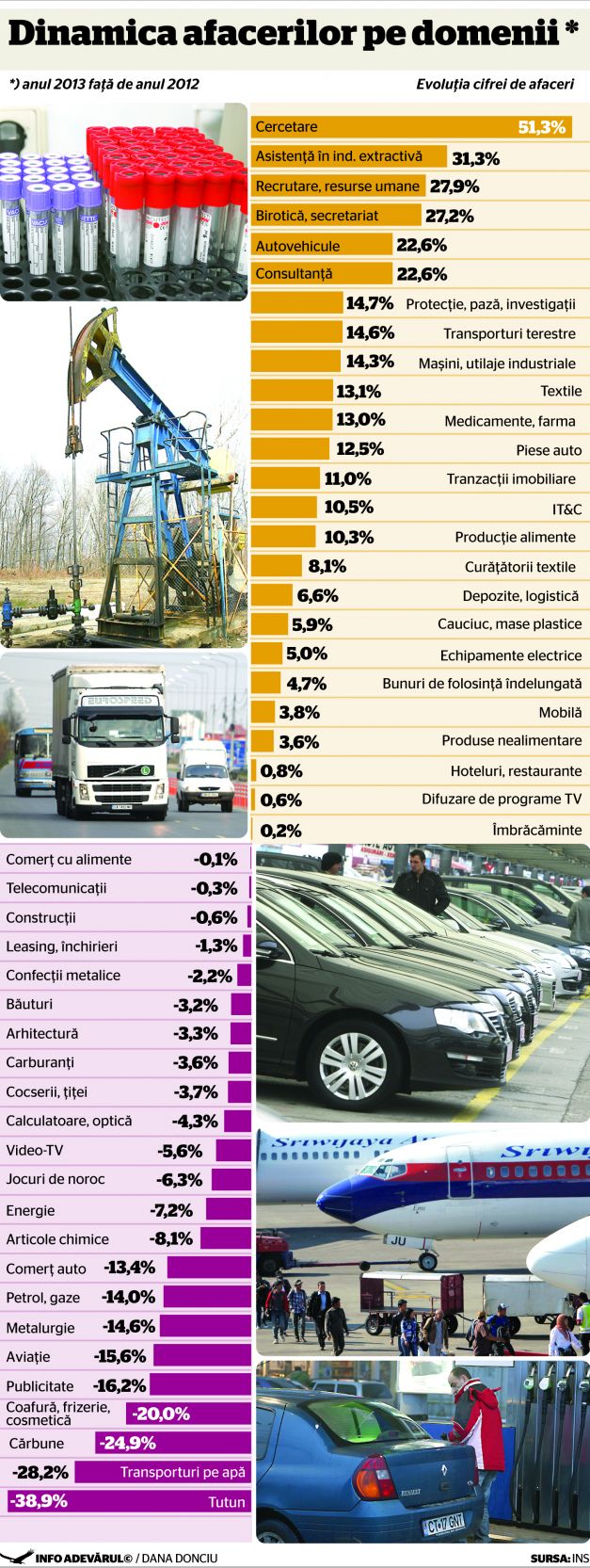 Ce afaceri au mers si ce afaceri nu au mers in Romania in 2013